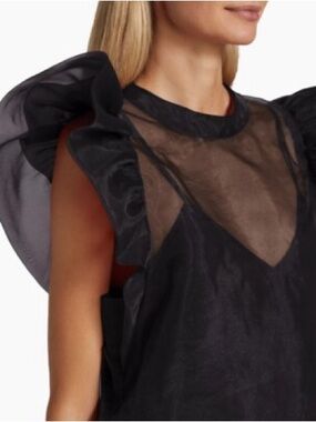 Blu Pepper Sheer Ruffled Sleeve Black Organza Top